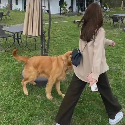惩罚者